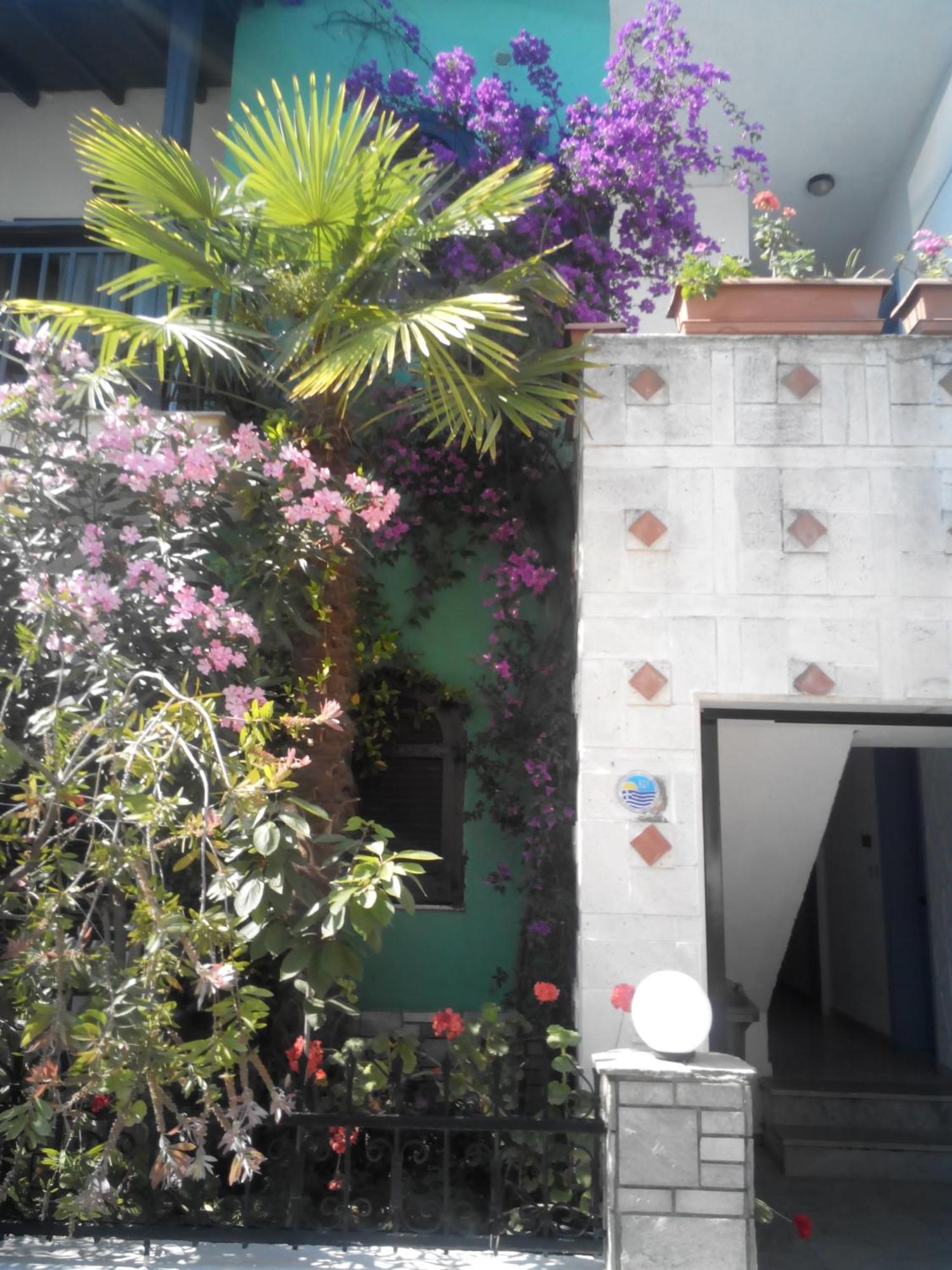Tassos 2 Apart otel Pefkochori Dış mekan fotoğraf